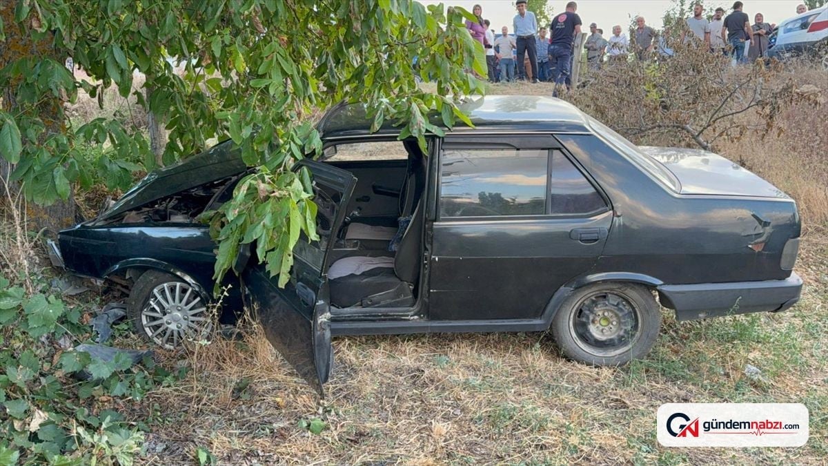 Kütahya'da otomobil ağaca çarptı, anne ve oğlu yaralandı