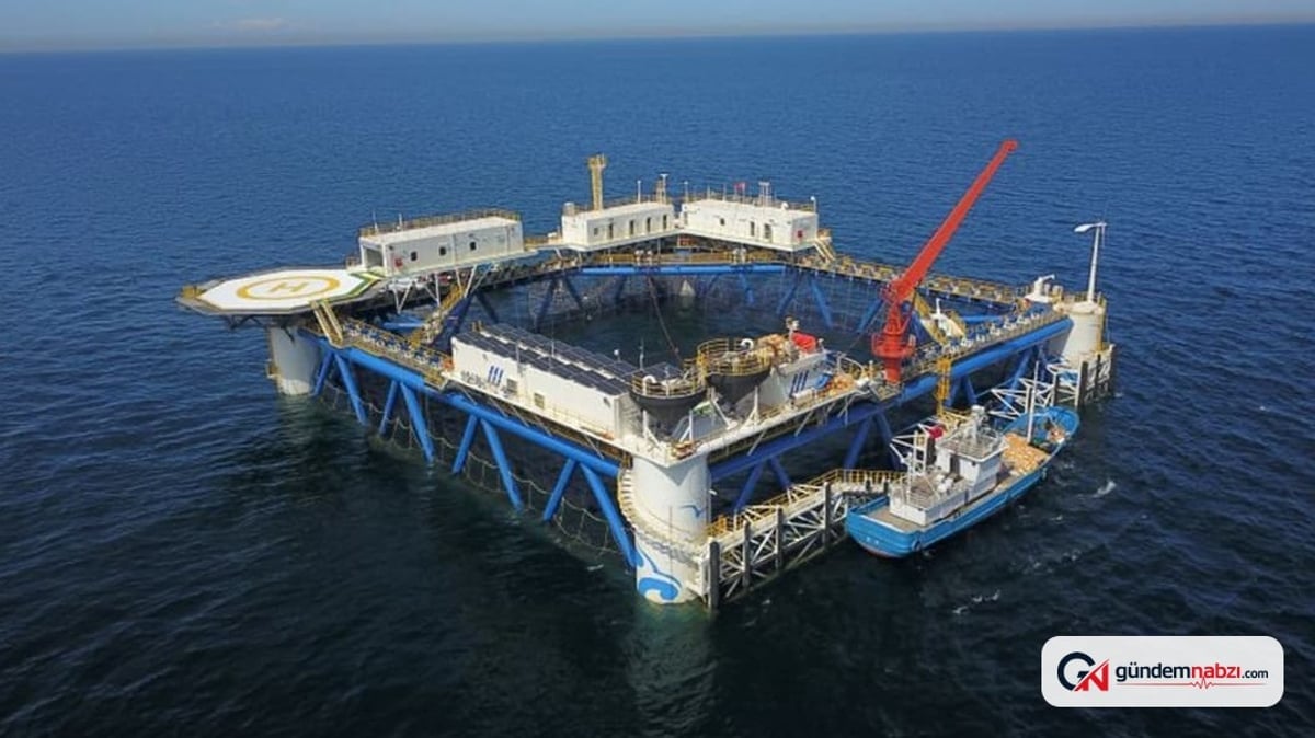 Çin bambu yüzer güneş enerjisi platformunu denize indirdi