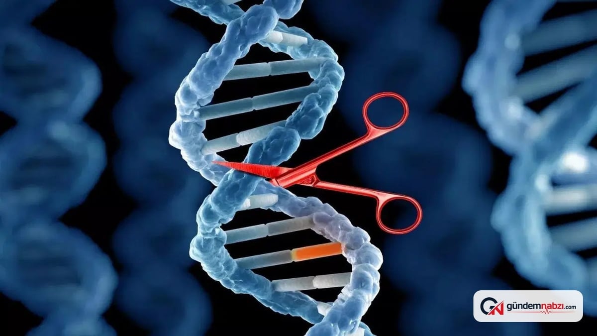 Genetik hastalıklarda Trna ile yeni tedavi yöntemi geliştirildi