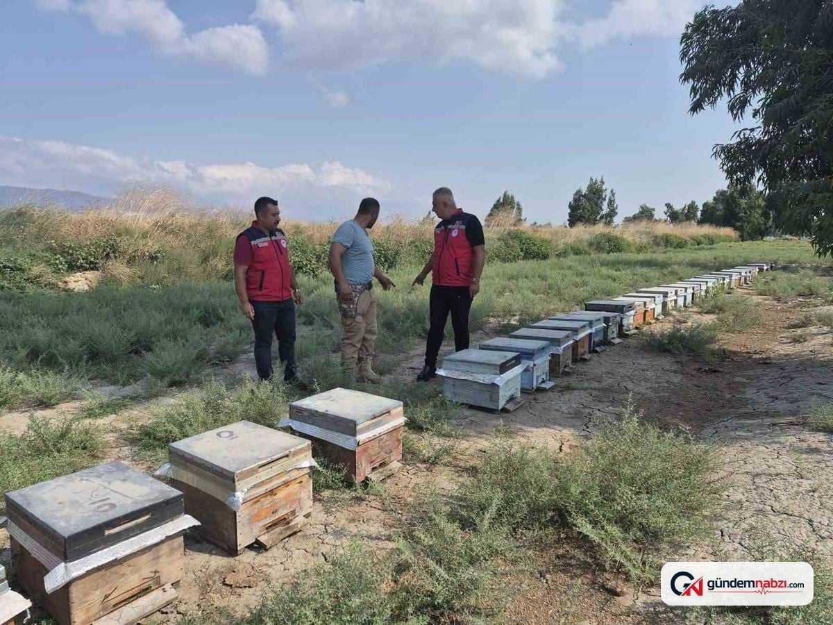 Hatay'da arıcılık işletmesine bal sağım sezonu ziyareti