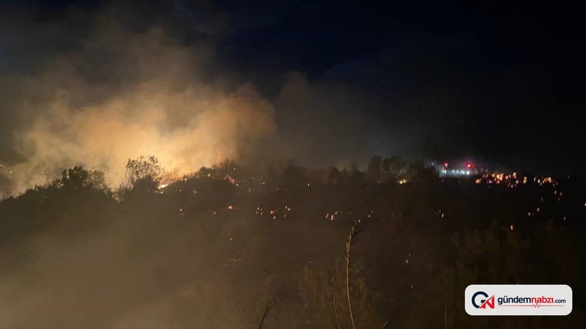 Antalya'da otluk alanda çıkan yangın 30 dönümlük araziyi etkiledi