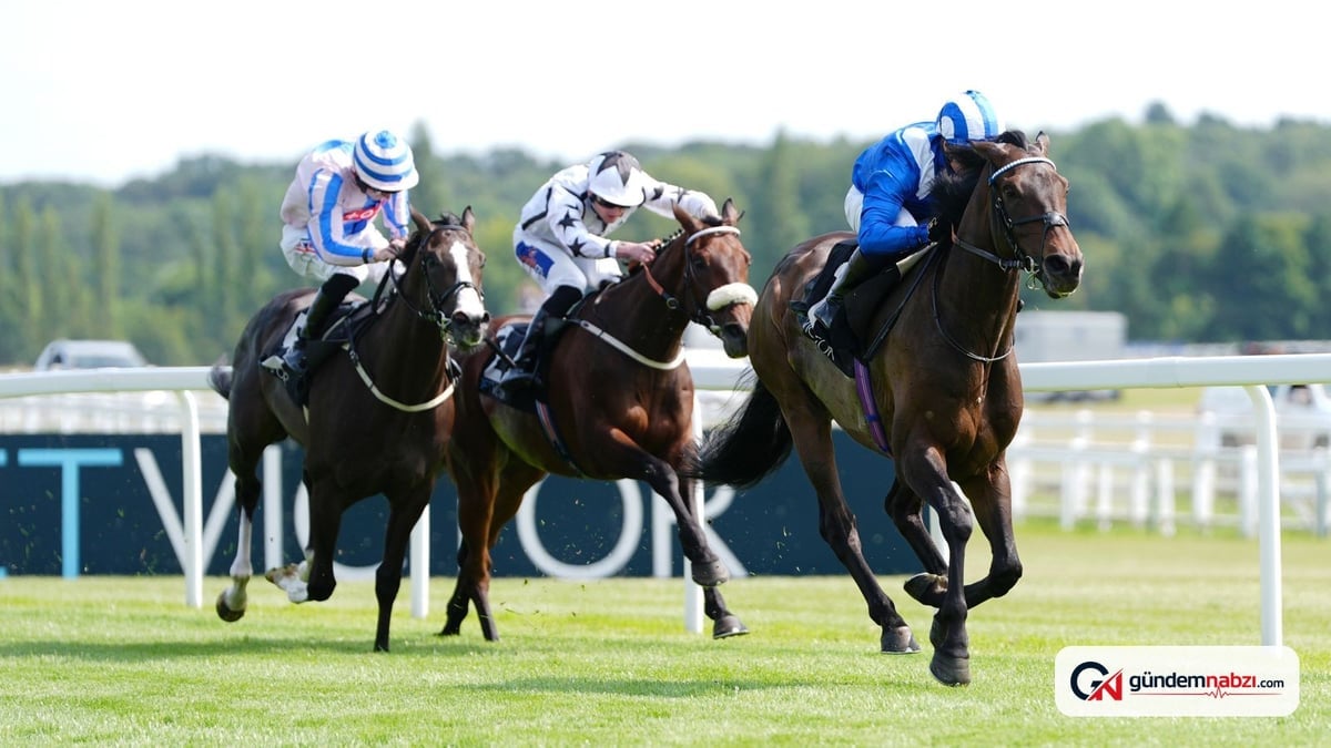 Deauville'de İngiliz atları yarışıyor