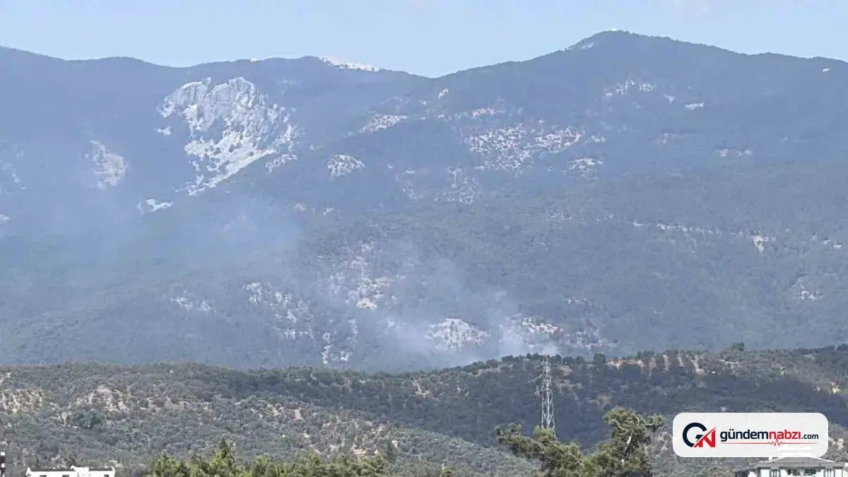 Kazdağı Milli Parkı'nda orman yangını çıktı