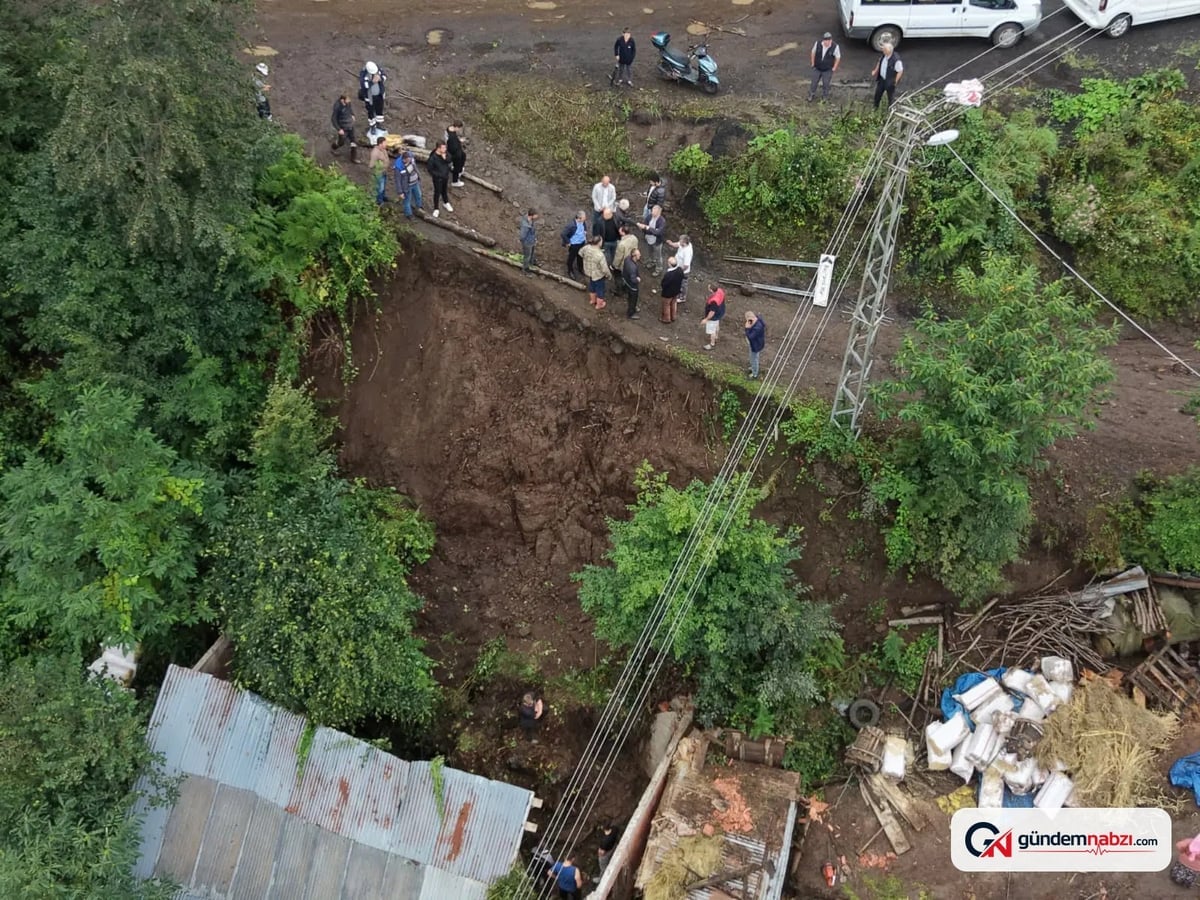 Ordu Akkuş'ta toprak kayması sonucu 5 büyükbaş öldü