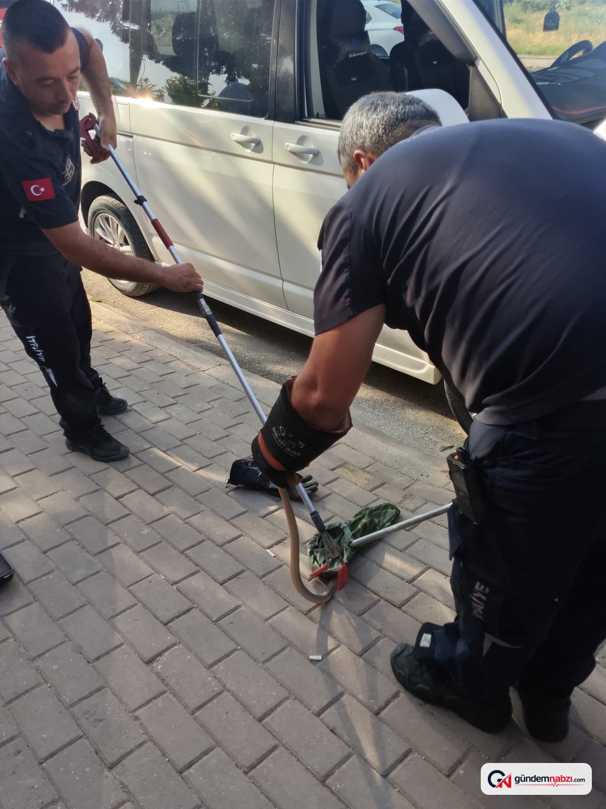 Bursa İnegöl'de minibüsün motoruna giren yılan itfaiye tarafından kurtarıldı