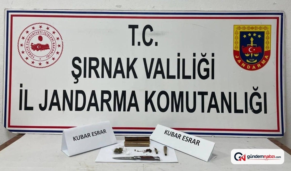 Şırnak'ta jandarma operasyonlarında 9 milyon liralık kaçak mal ele geçirildi