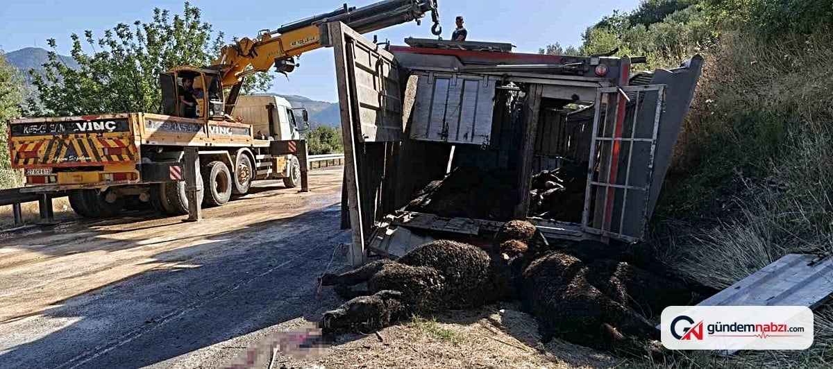 Mersin Silifke'de tır devrildi, sürücü yaralandı