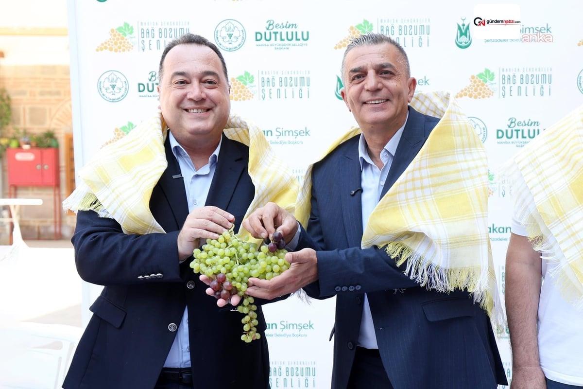 Şehzadeler'de bağ bozumu şenlikleri başlıyor