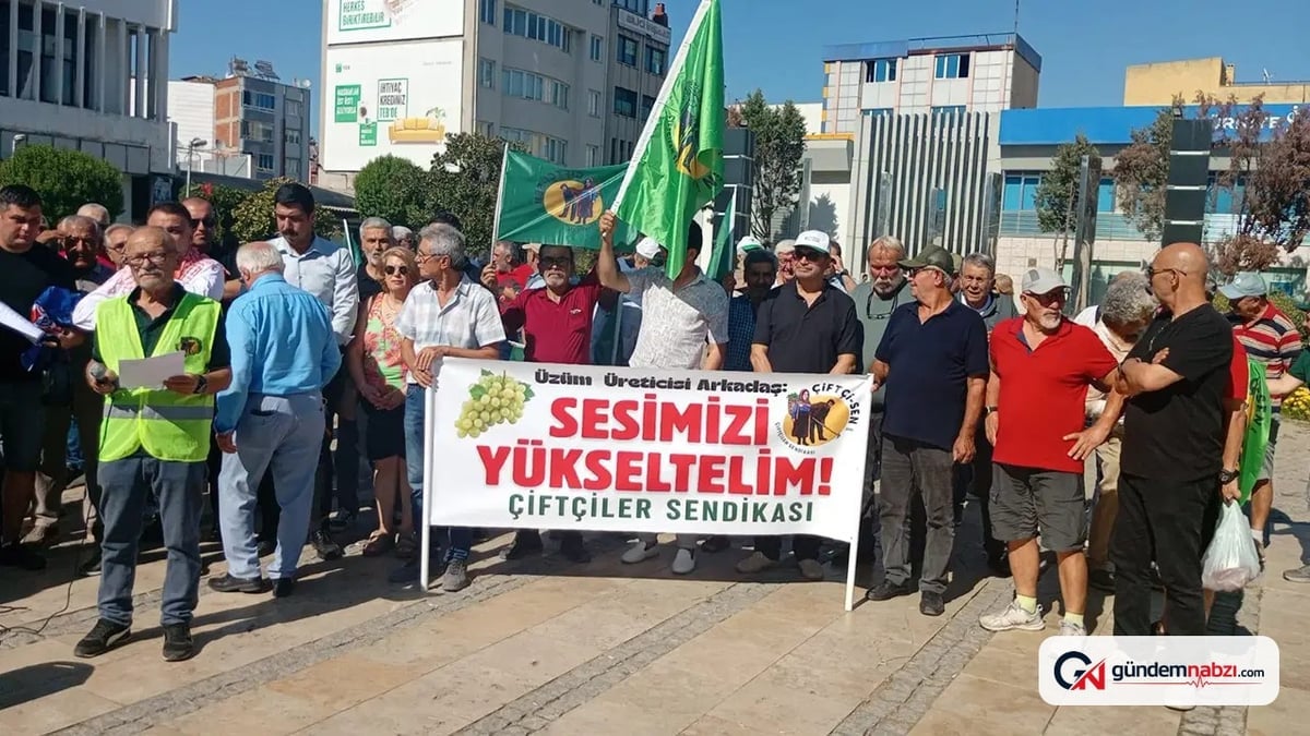 Manisa Salihli'de üzüm üreticileri TARİŞ'in 80 TL fiyatına tepki gösterdi