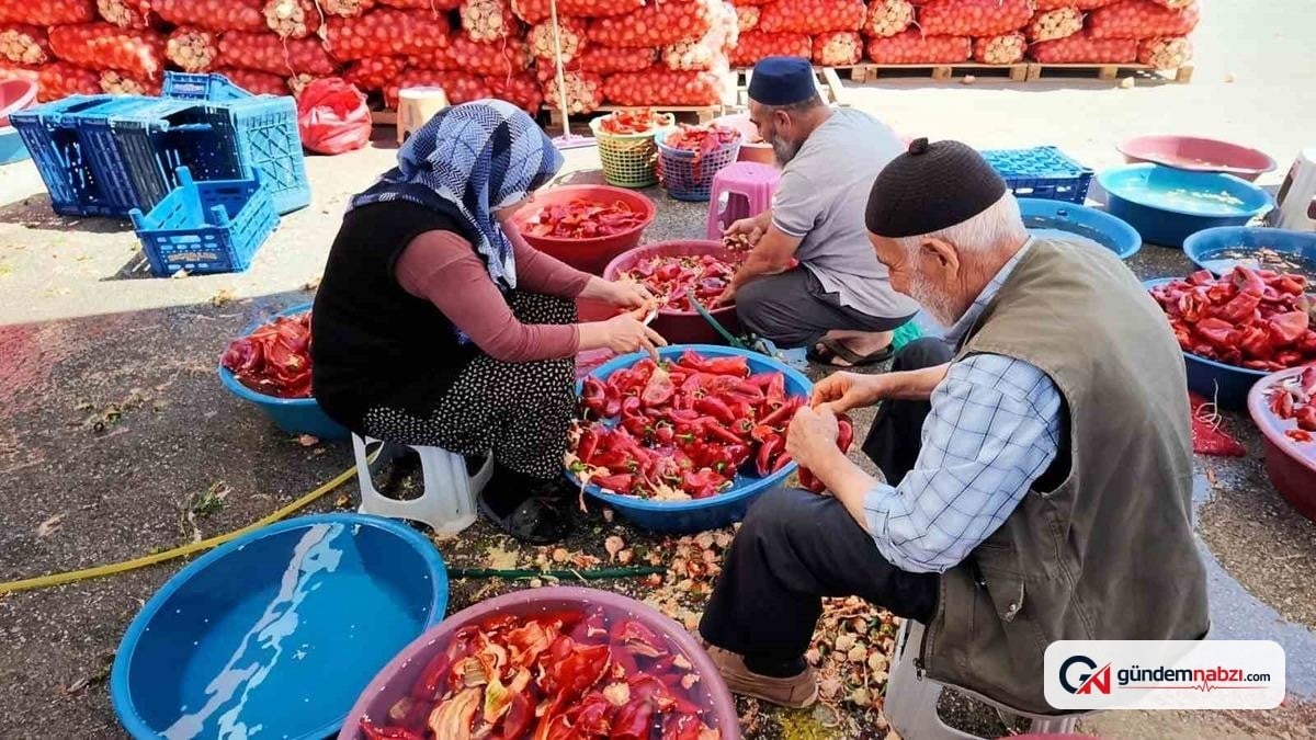Niğde'de kışlık salça mesaisi başladı