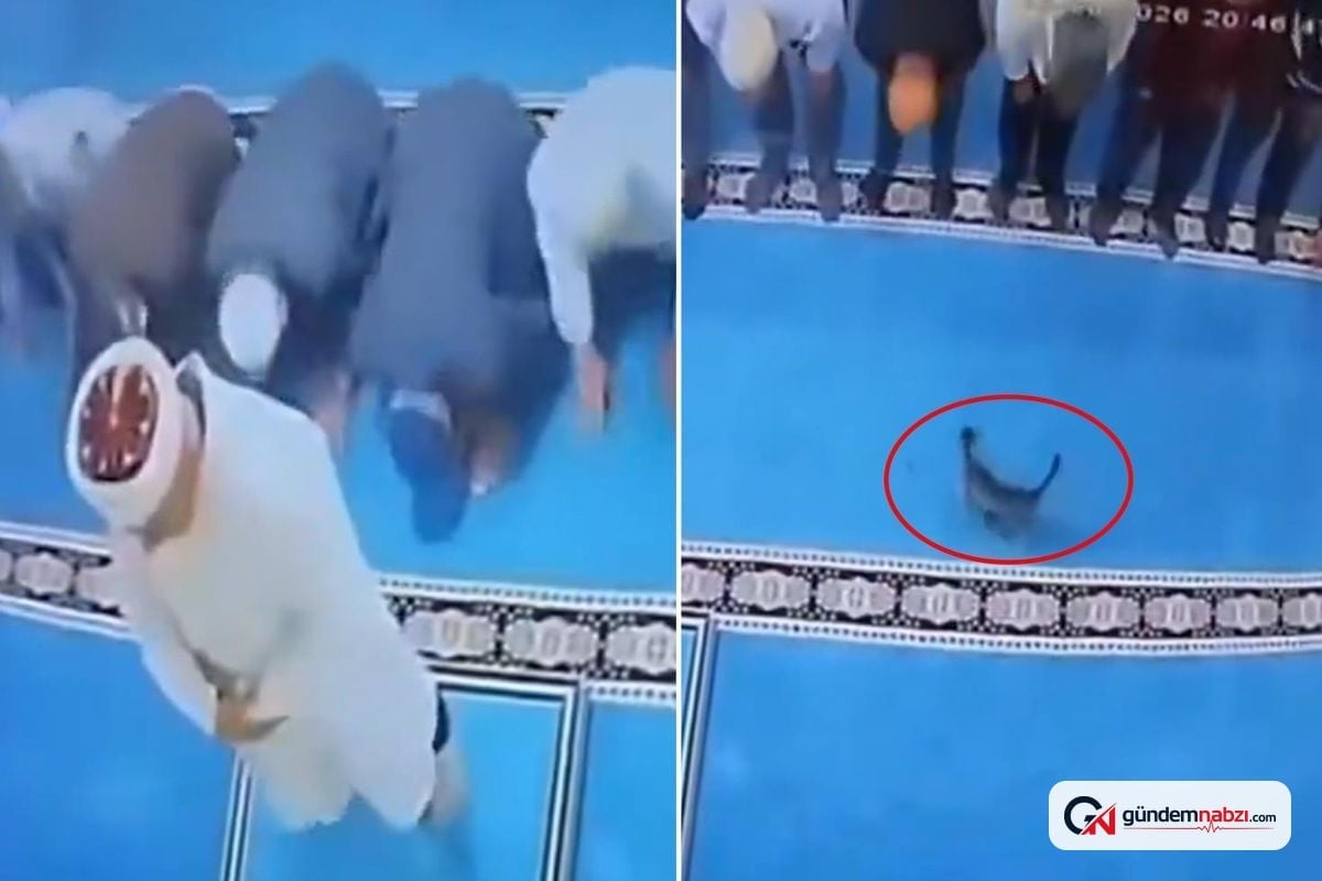 Erzurum'da namaz sırasında kedi imamın başına çarptı