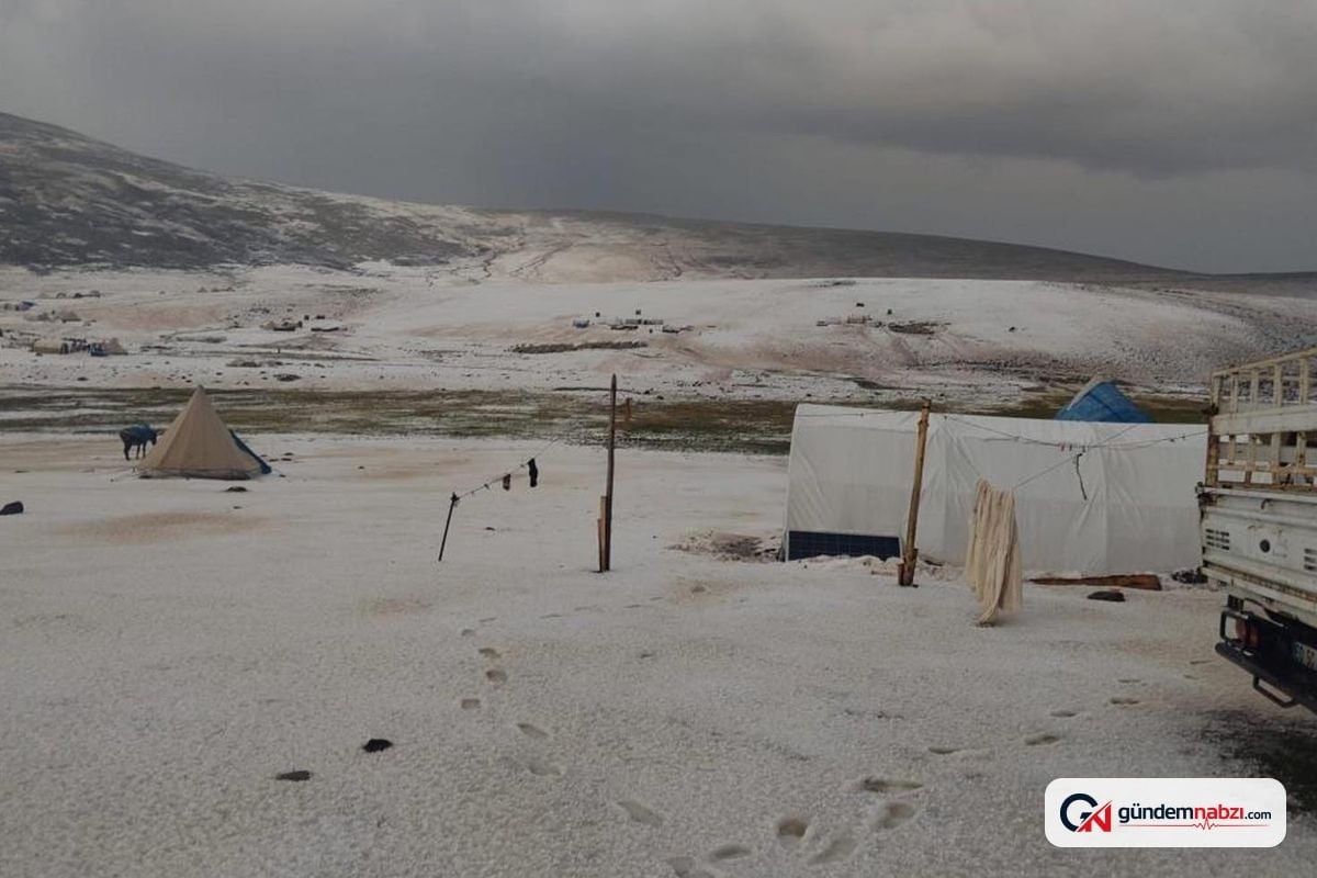 Erzincan yaylalarında dolu ve sağanak peynir üreticilerini vurdu