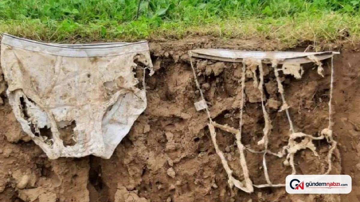 İsviçre'de 2 bin iç çamaşırı toprağa gömüldü