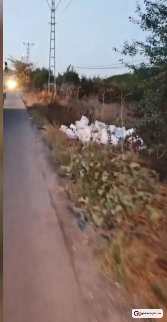 İstanbul Arnavutköy'de bozuk balıkları araziye döken sürücüye 40 bin lira ceza