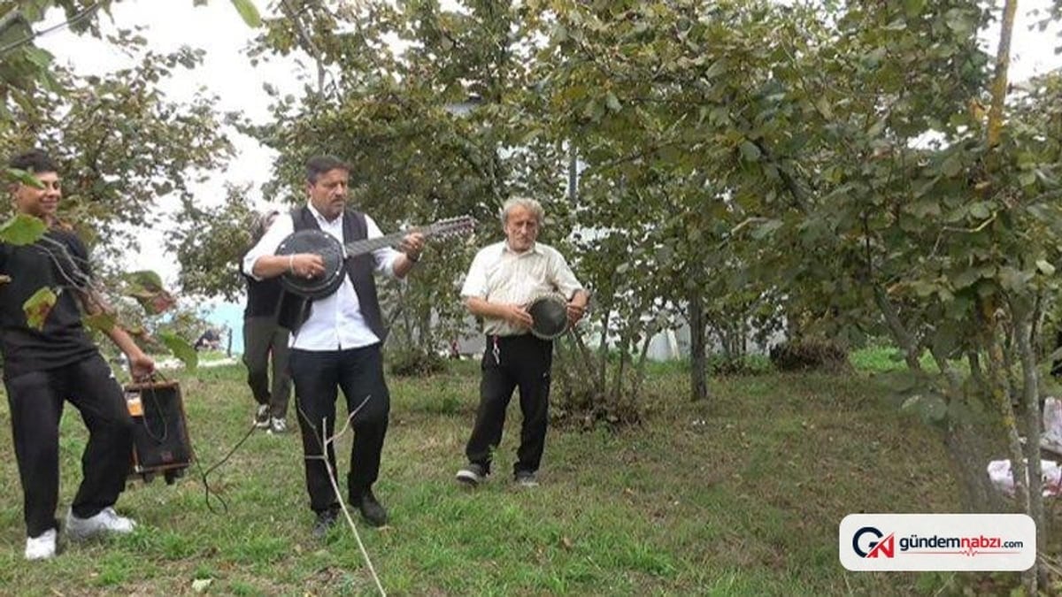 Düzce'de fındık bahçesinde tarım işçilerine müzikli sürpriz