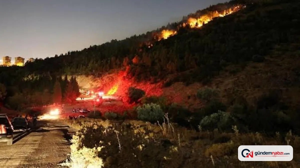 İzmir Bergama'da orman yangını çıktı