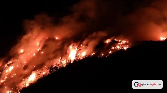 Adana'da çöp alanında yangın çıktı