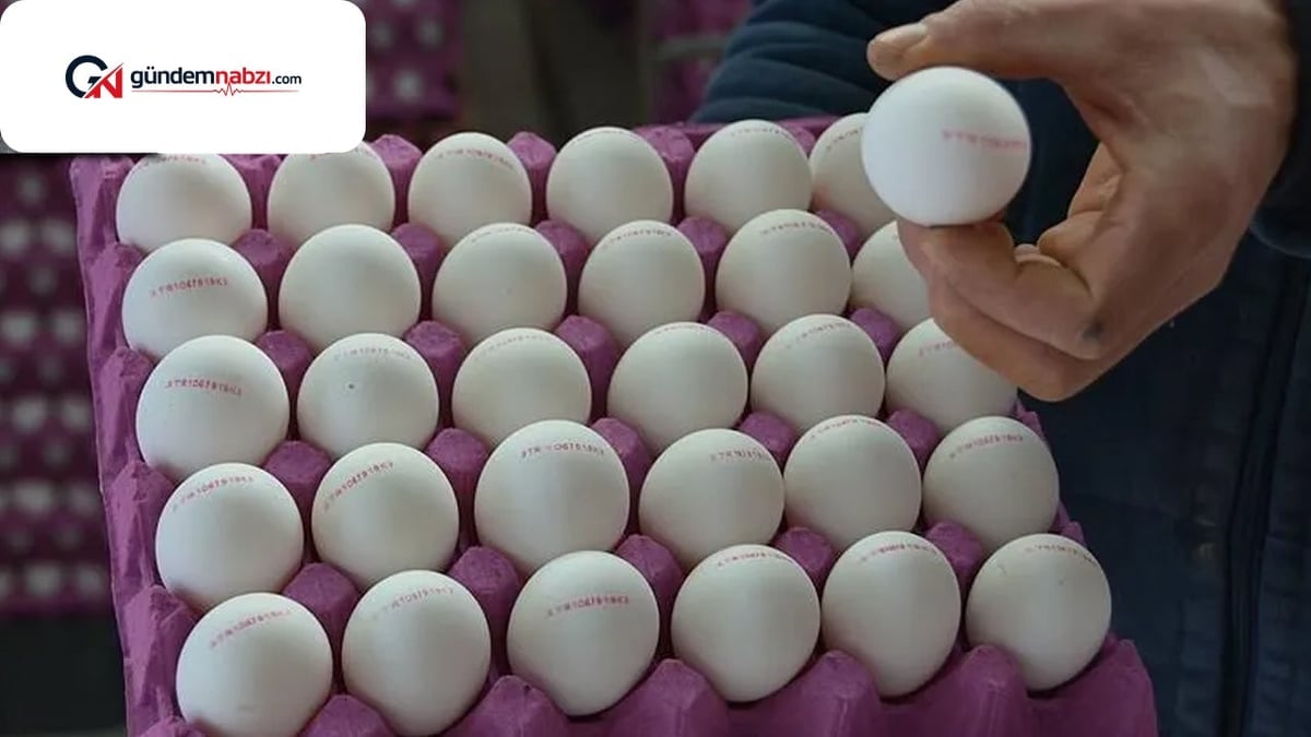 Yumurta fiyatı ağustosta yüzde 37,8 arttı