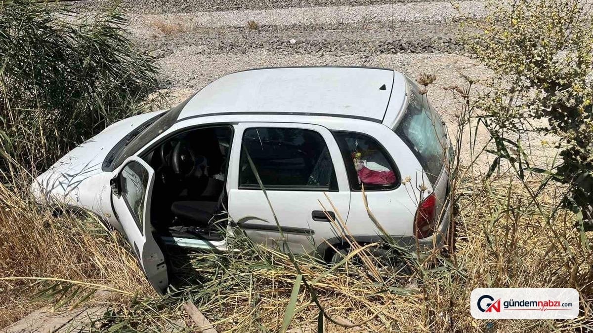 Aydın'da otomobil şarampole uçtu