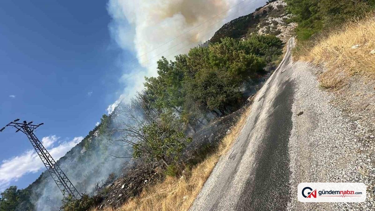 Antalya Akseki'de orman yangını çıktı