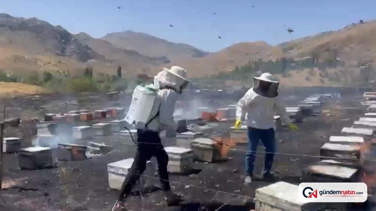 Adıyaman'da otluk alanda çıkan yangın 200 arı kovanını kül etti