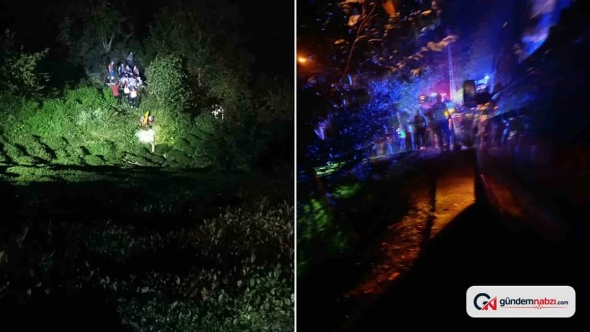 Rize'de kamyonet uçuruma yuvarlandı: İki kardeş öldü