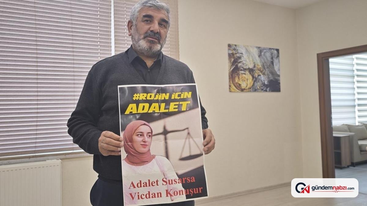 Rojin Kabaiş soruşturmasında 7 bin 353 araç incelendi