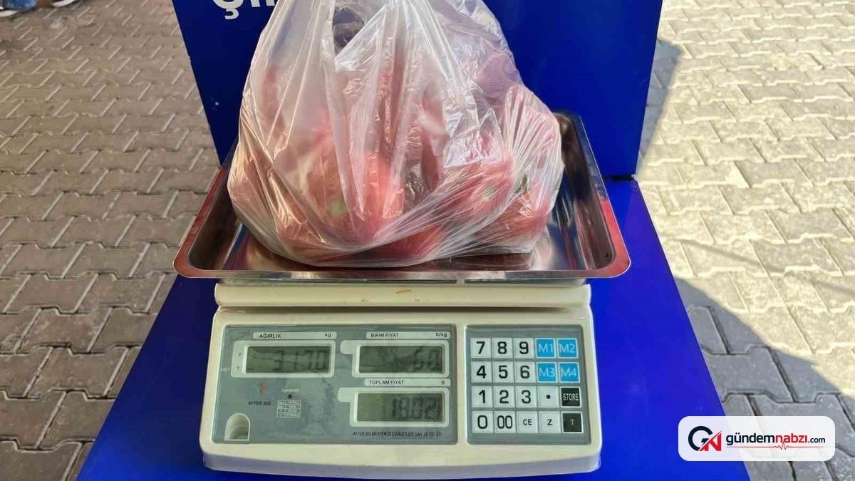 Alanya pazarlarına Güven Terazisi yerleştirildi
