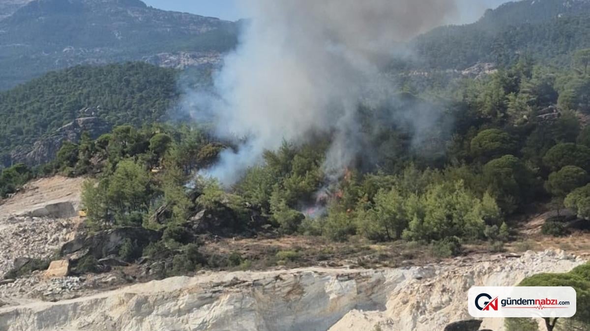 Muğla Milas’ta Orman Yangını başladı