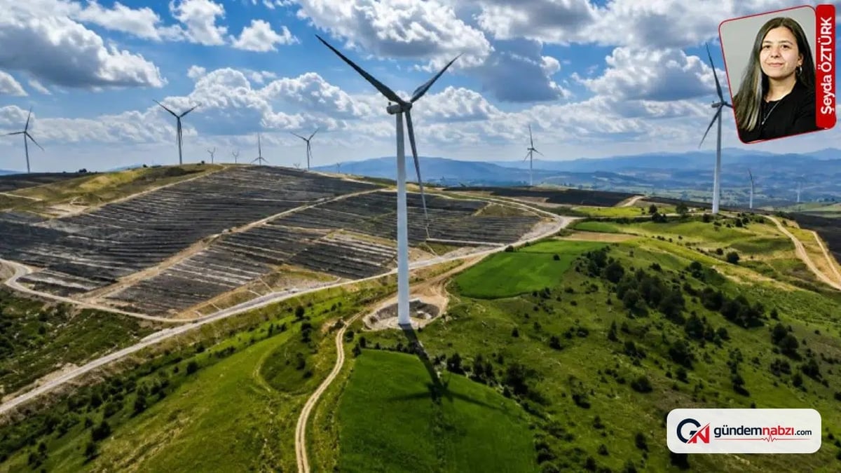 Muğla'daki RES projesinde bilanço çıktı: 14 bin ağaç kesildi