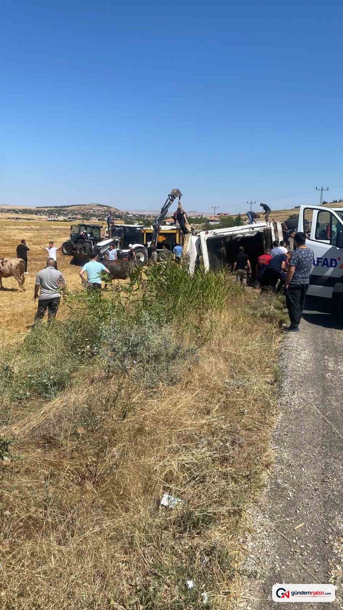 Kırşehir'in Boztepe ilçesinde hayvan yüklü tır devrildi