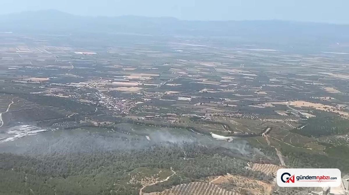 Manisa Soma'da orman yangını çıktı