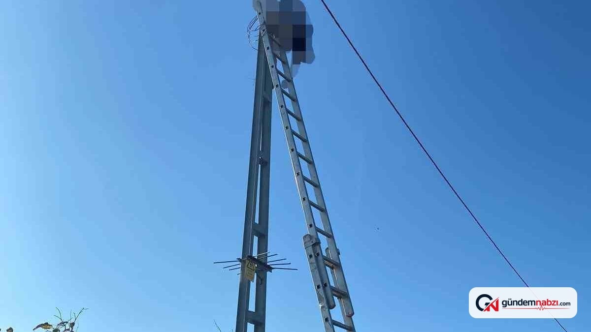 Sakarya Kocaali'de elektrikçi direkte akıma kapıldı