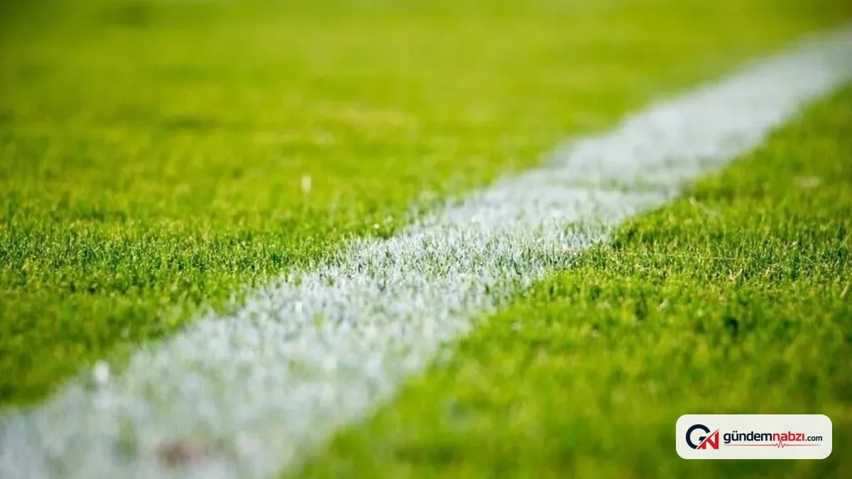 Süper Lig'de puan durumu güncellendi