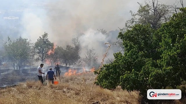 Konya Seydişehir'de ağaçlık alanda yangın çıktı, 10 dekar zarar gördü