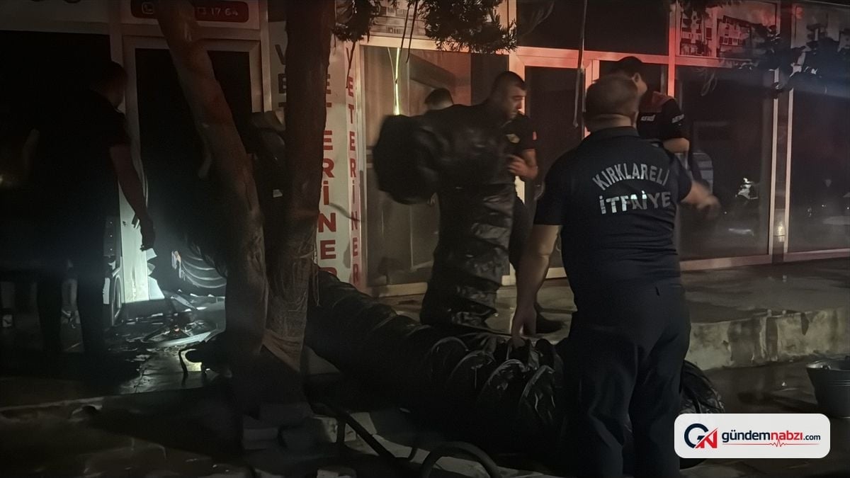 Kırklareli'nde veteriner kliniğinde yangın çıktı