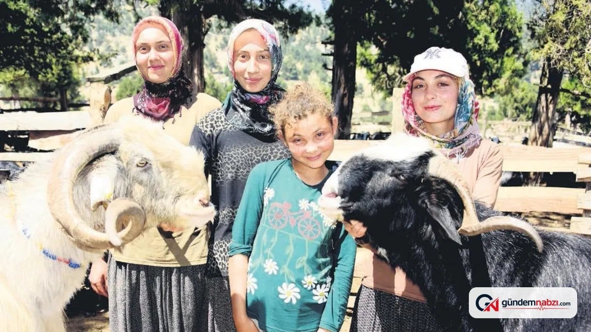 Toroslarda Yörük kızları hem çobanlık hem sınava hazırlanıyor
