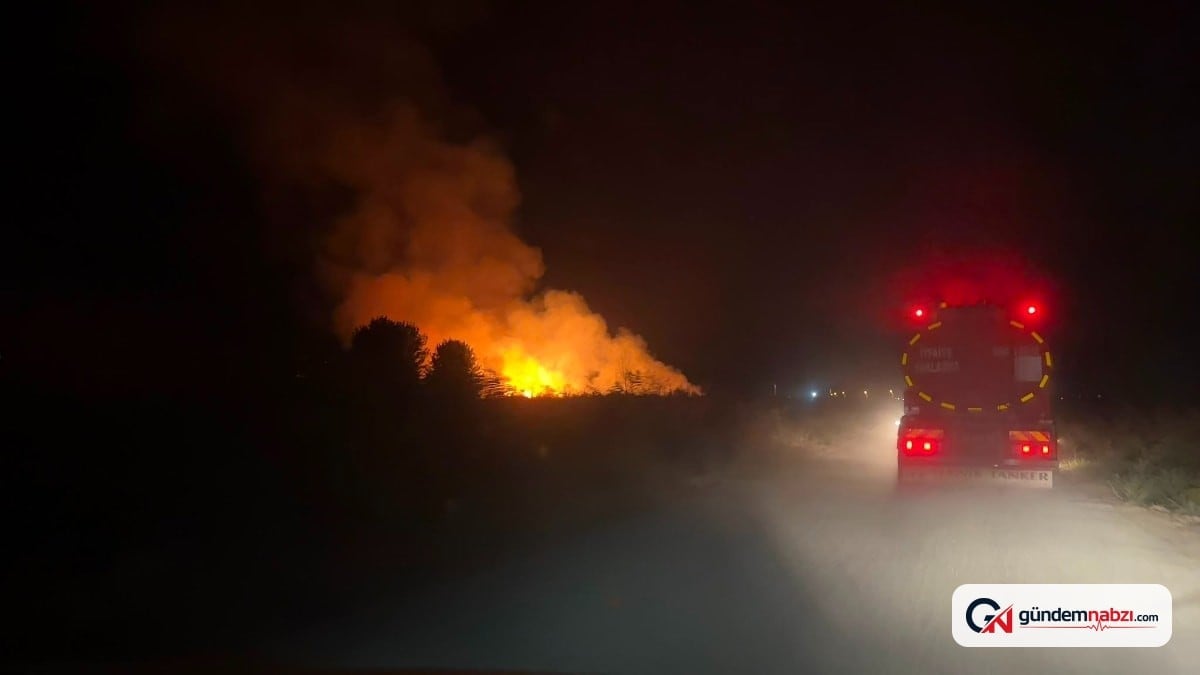 Bursa İznik'te Sazlık yangını 1 saatte kontrol altına alındı