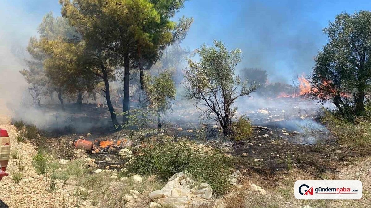 Antalya'da zirai alanda çıkan yangın söndürüldü