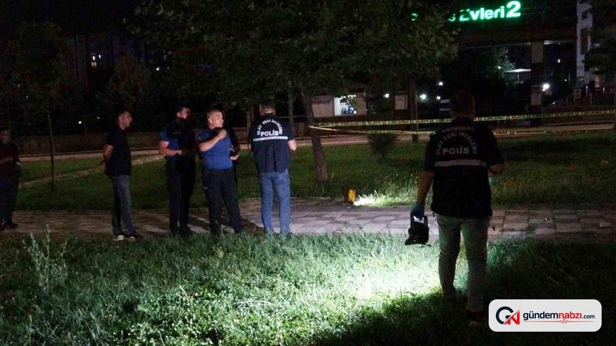 Malatya'daki Park kavgasında 2 şüpheliye adli kontrol
