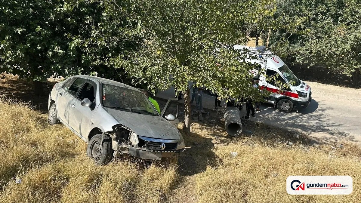 Adıyaman'da otomobil otluk alana uçtu: 3 yaralı