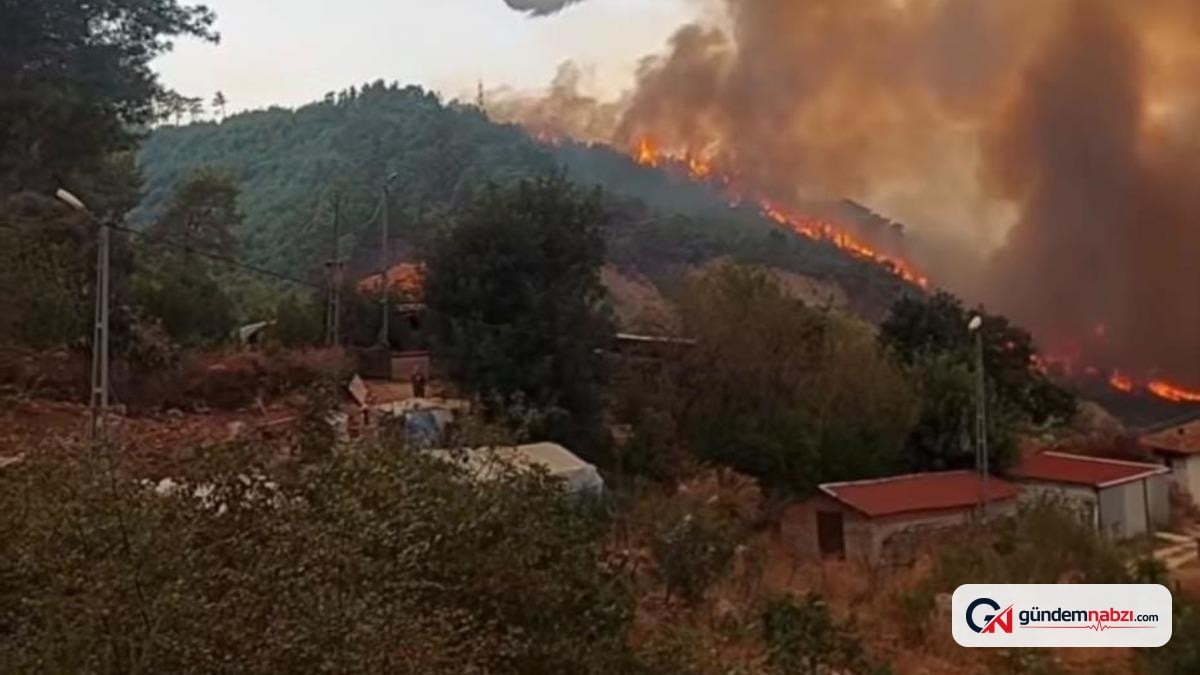Antalya'nın Serik ilçesinde orman dışı alanda yangın çıktı