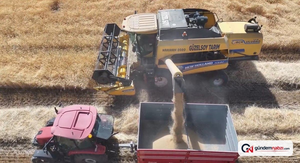 Erzincan'da baraj suları tarıma bereket katıyor, hasat devam ediyor