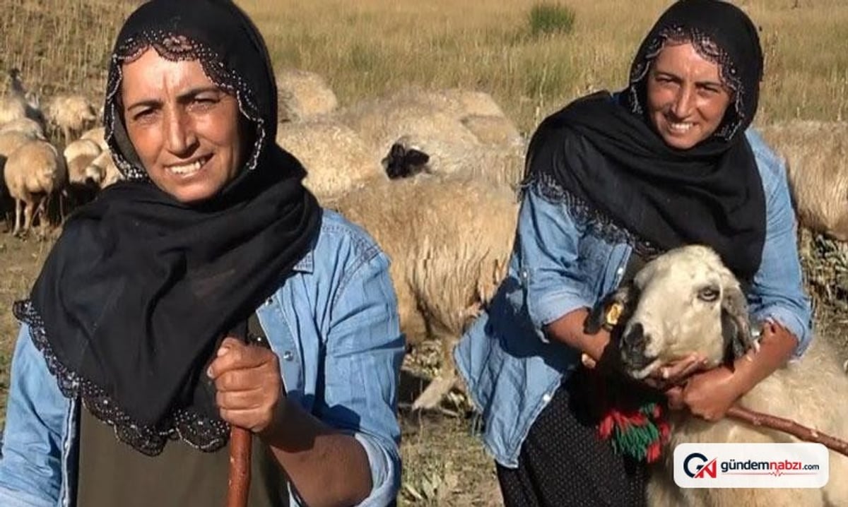 Tunceli'de çobanlık yapan iki çocuk annesi Özlem Baloğlu, Kendi işini kurmak istiyor