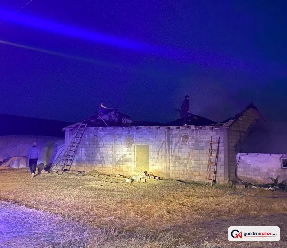 Muş'un Korkut ilçesinde ahır yangını