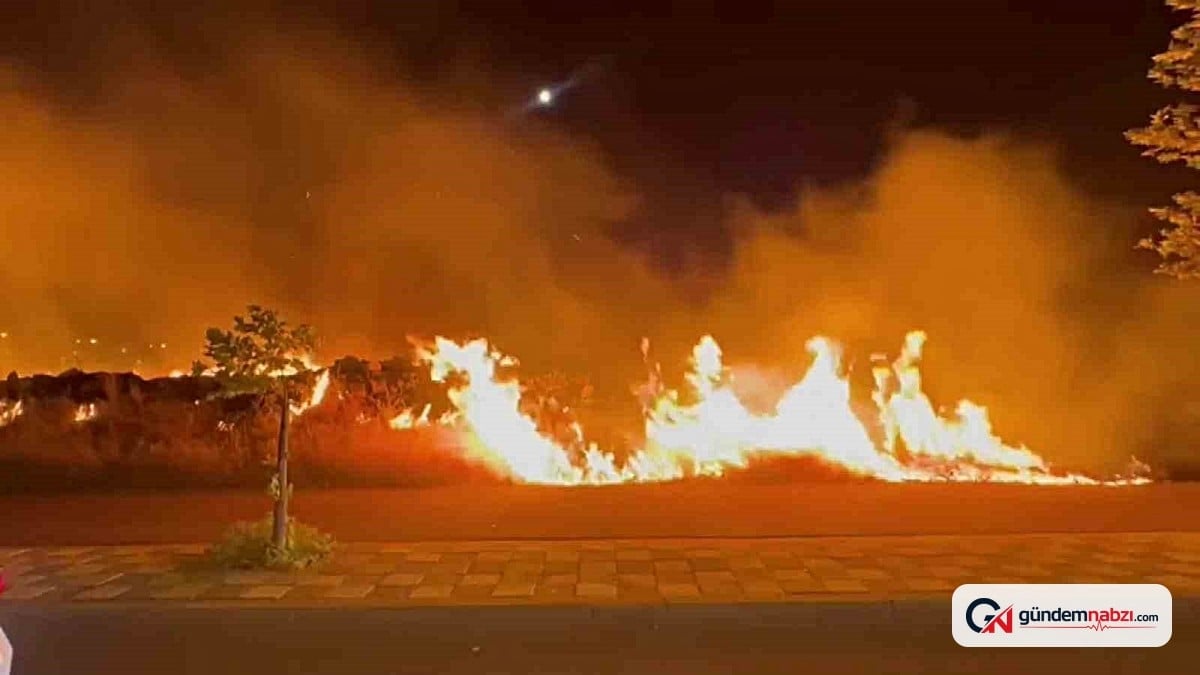 Diyarbakır Kayapınar'da otluk alanda yangın söndürüldü