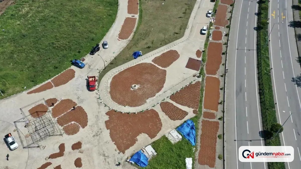 Giresun'da fındık kurutma mesaisi başladı