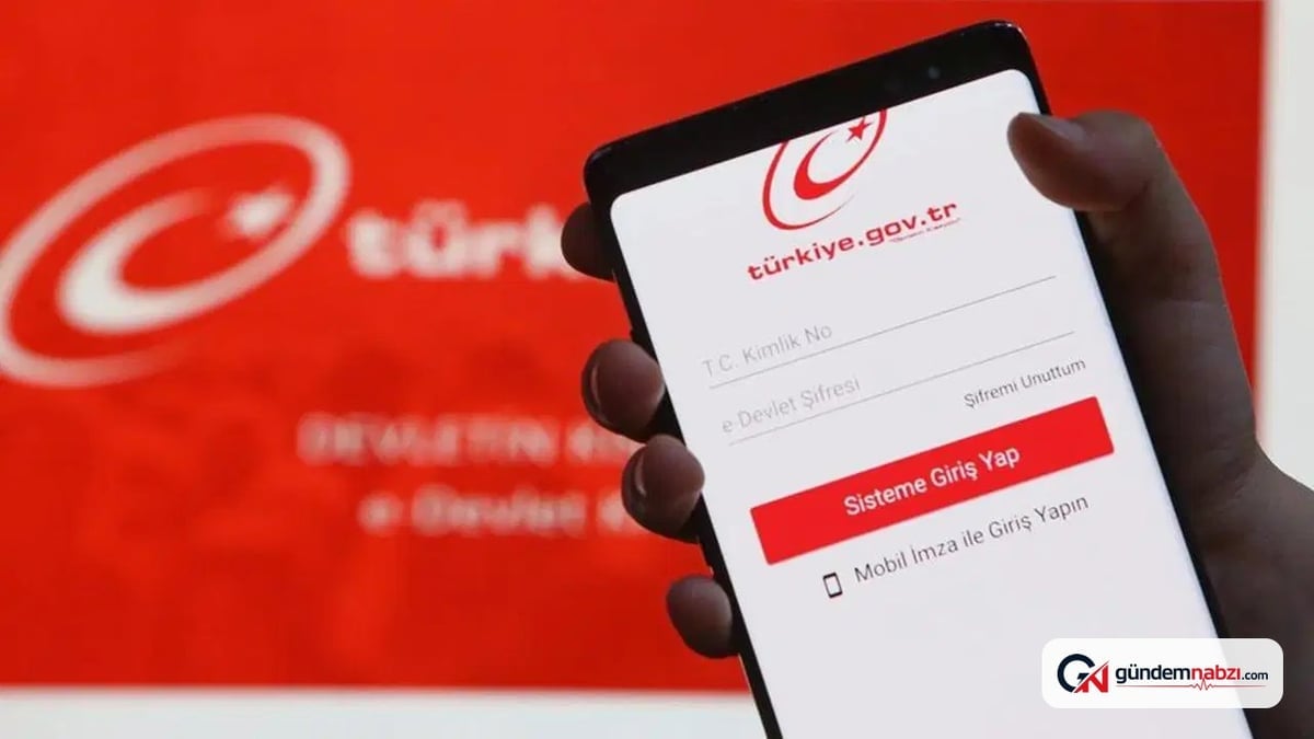Adınıza açılmış elektronik para hesapları e-Devlet'te sorgulanabilir