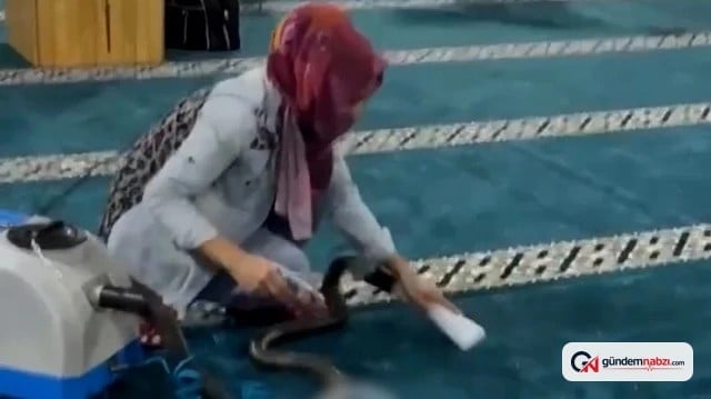 Konya'da 10 yıkamacı her akşam cami halısı temizliyor