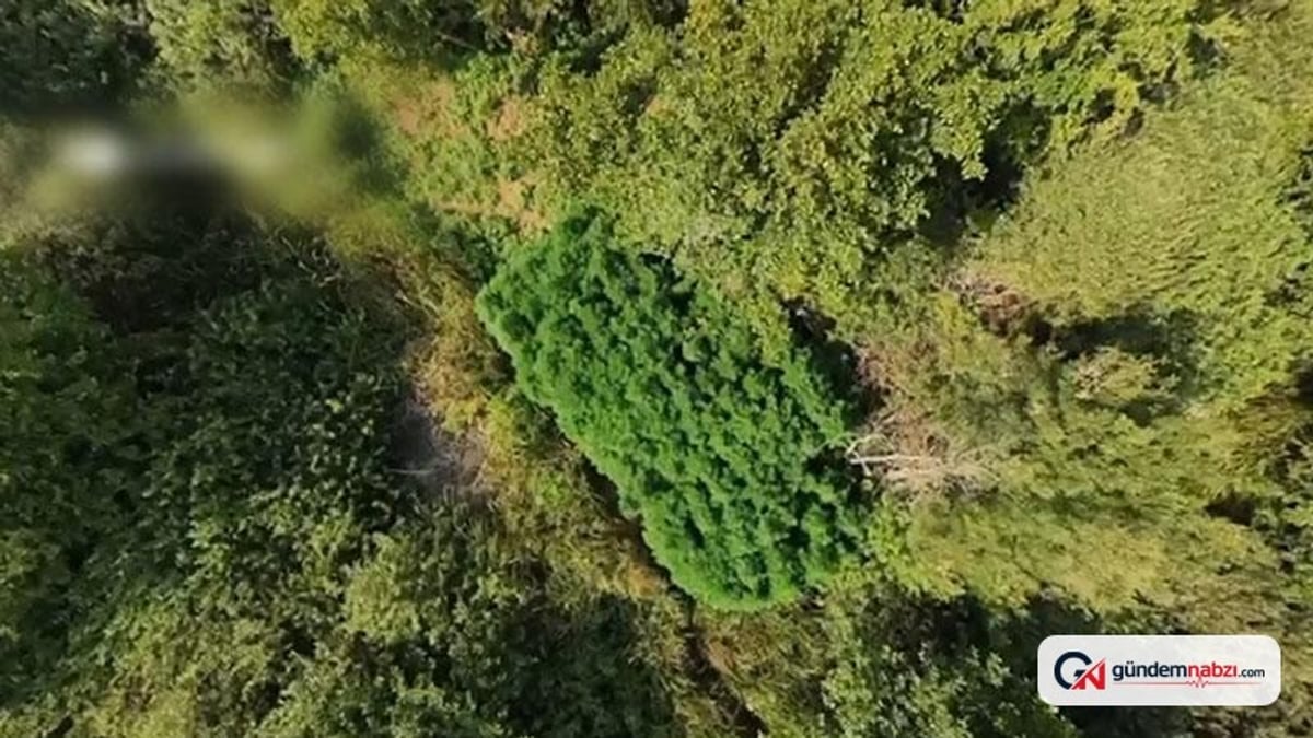 Sakarya'daki uyuşturucu operasyonunda 2 kişi tutuklandı